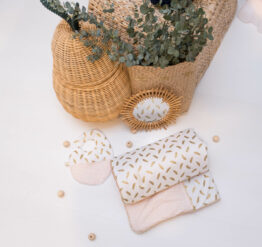 ensemble plumes rose