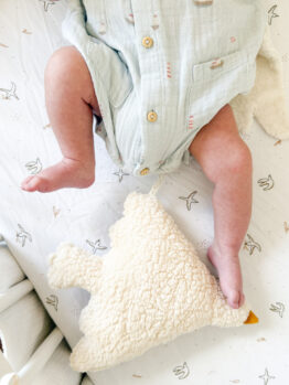 LACAEAU l'oiseau mural - petit