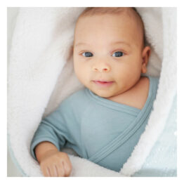 Couverture l'Originale Menthe